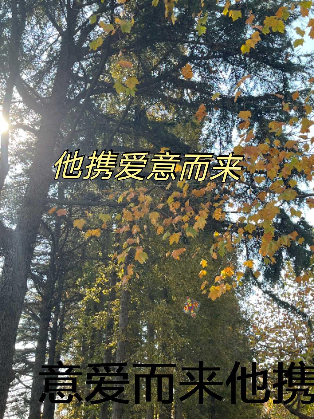 明月如她免费阅读